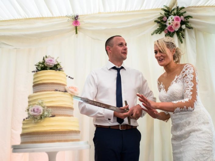 Arlington Castle wedding photography, sexy and Paul cut the cake