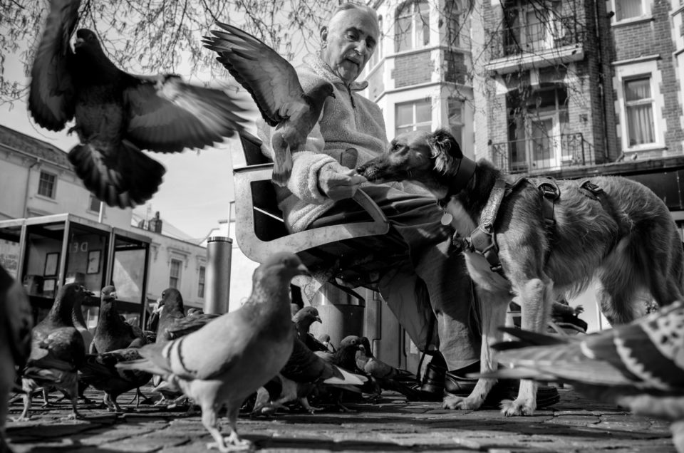 Black and white photograph of 90 year old Dennis and his dog Minnie feeding the pigeons in Folkestone Kent