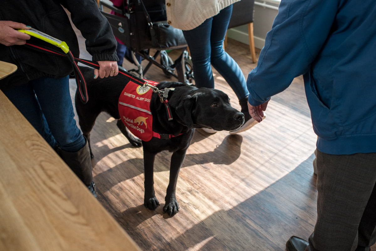 Dog photography in Kent