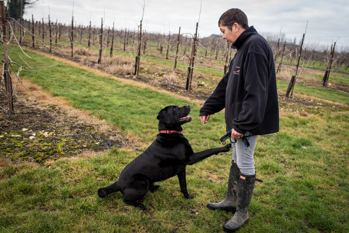 Claires dog alerts her to test blood