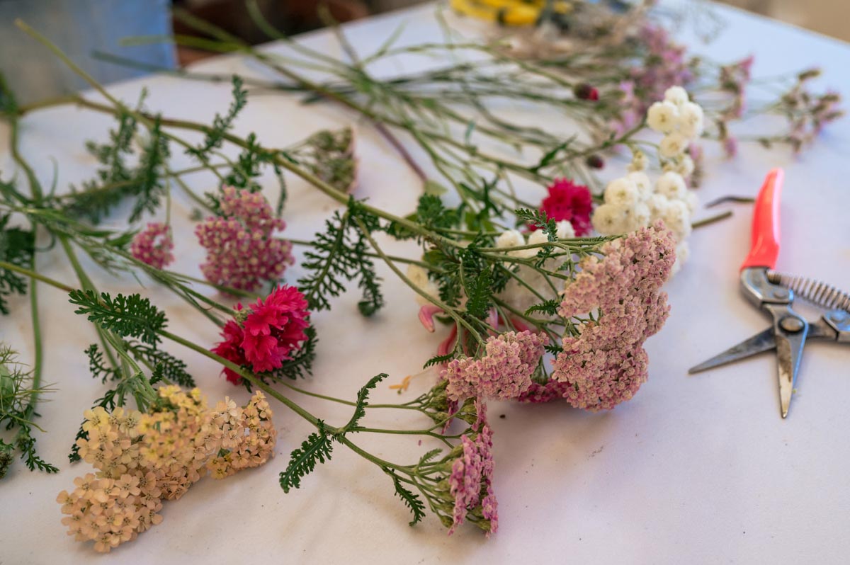 Photograph of flowers laid out for dry flower wreath workshop during day in the Life Photoraphy for business photoshoot