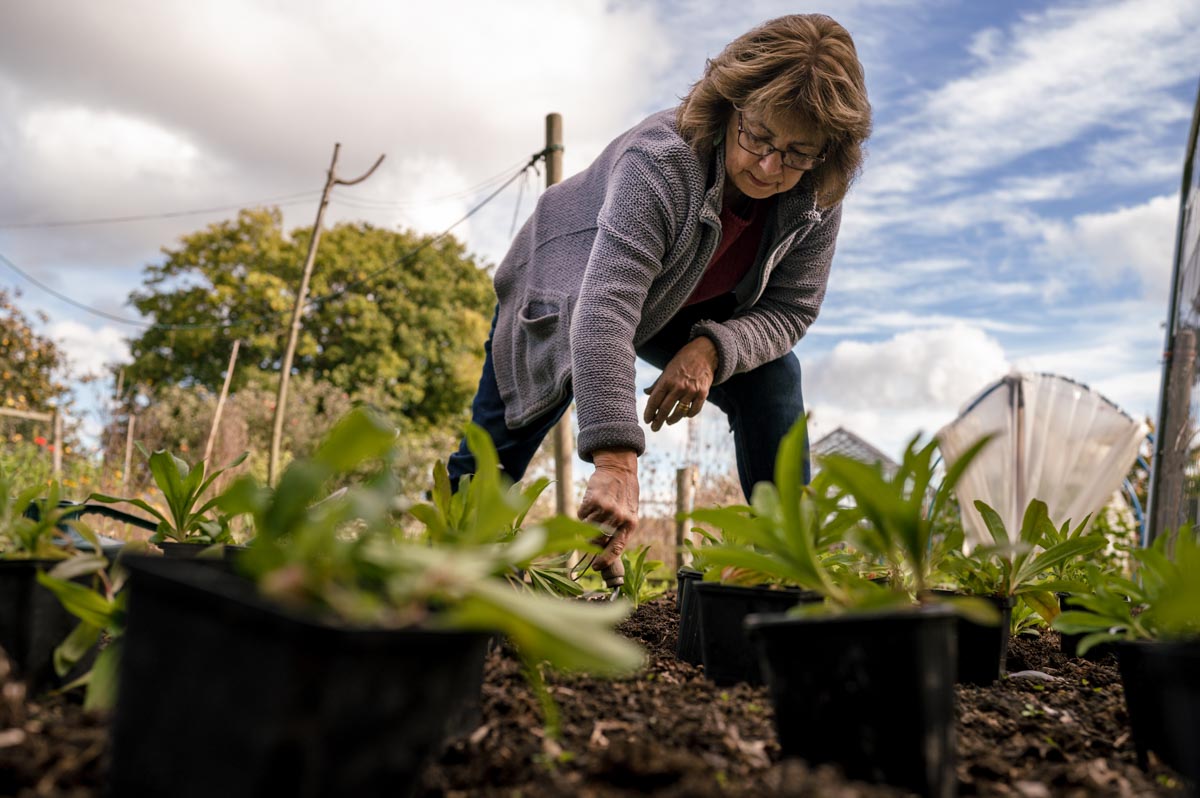 Lin planting out flowers in her garden during one of her day in the Life for business photoshoots