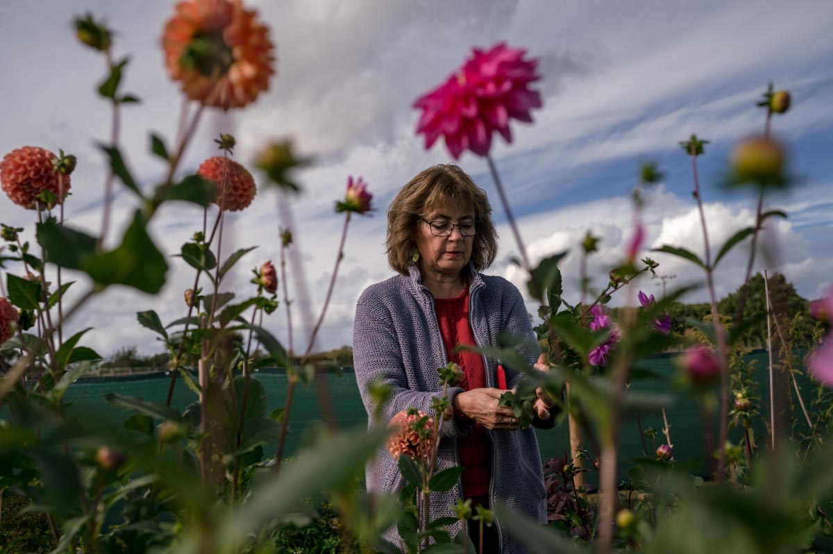 day in the life photography for business shows Lin choosing flowers to use from her garden