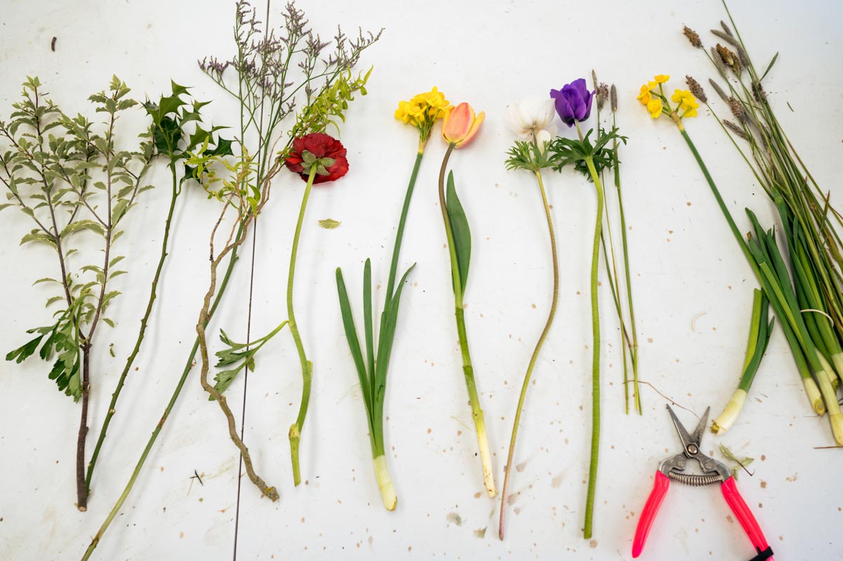 Flowers laid out ready for use during woodchurch cottage flowers workshop