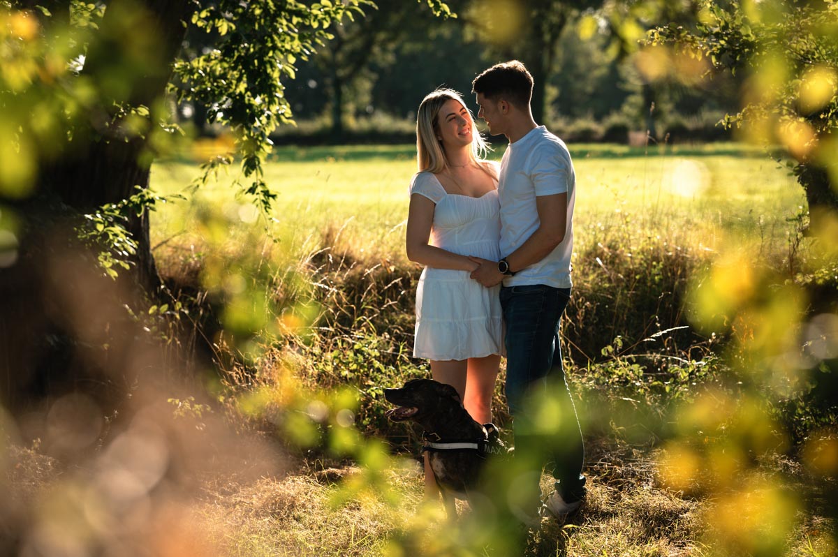 sarah & james pre wedding photoshoot among the trees during golden hour