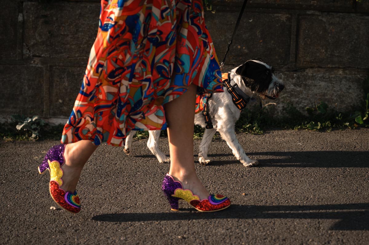 Dog photography at weddings